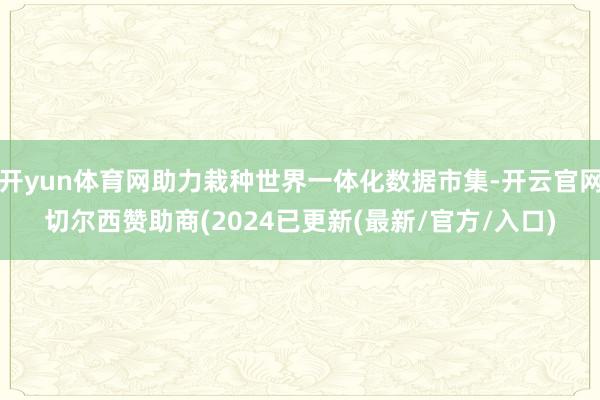 开yun体育网助力栽种世界一体化数据市集-开云官网切尔西赞助商(2024已更新(最新/官方/入口)