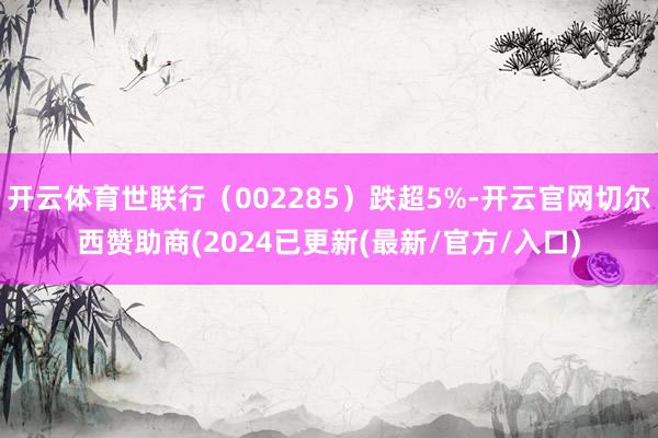 开云体育世联行（002285）跌超5%-开云官网切尔西赞助商(2024已更新(最新/官方/入口)