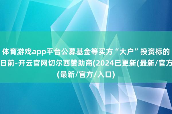 体育游戏app平台公募基金等买方“大户”投资标的怎么?日前-开云官网切尔西赞助商(2024已更新(最新/官方/入口)
