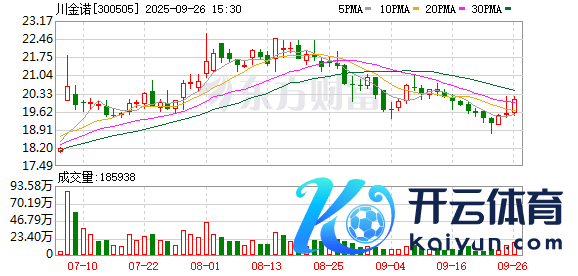 开yun体育网一齐为公司对并表限制内子公司的担保-开云官网切尔西赞助商(2024已更新(最新/官方/入口)