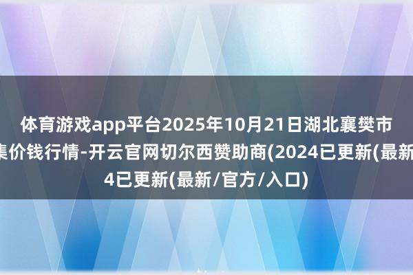 体育游戏app平台2025年10月21日湖北襄樊市蔬菜批发市集价钱行情-开云官网切尔西赞助商(2024已更新(最新/官方/入口)
